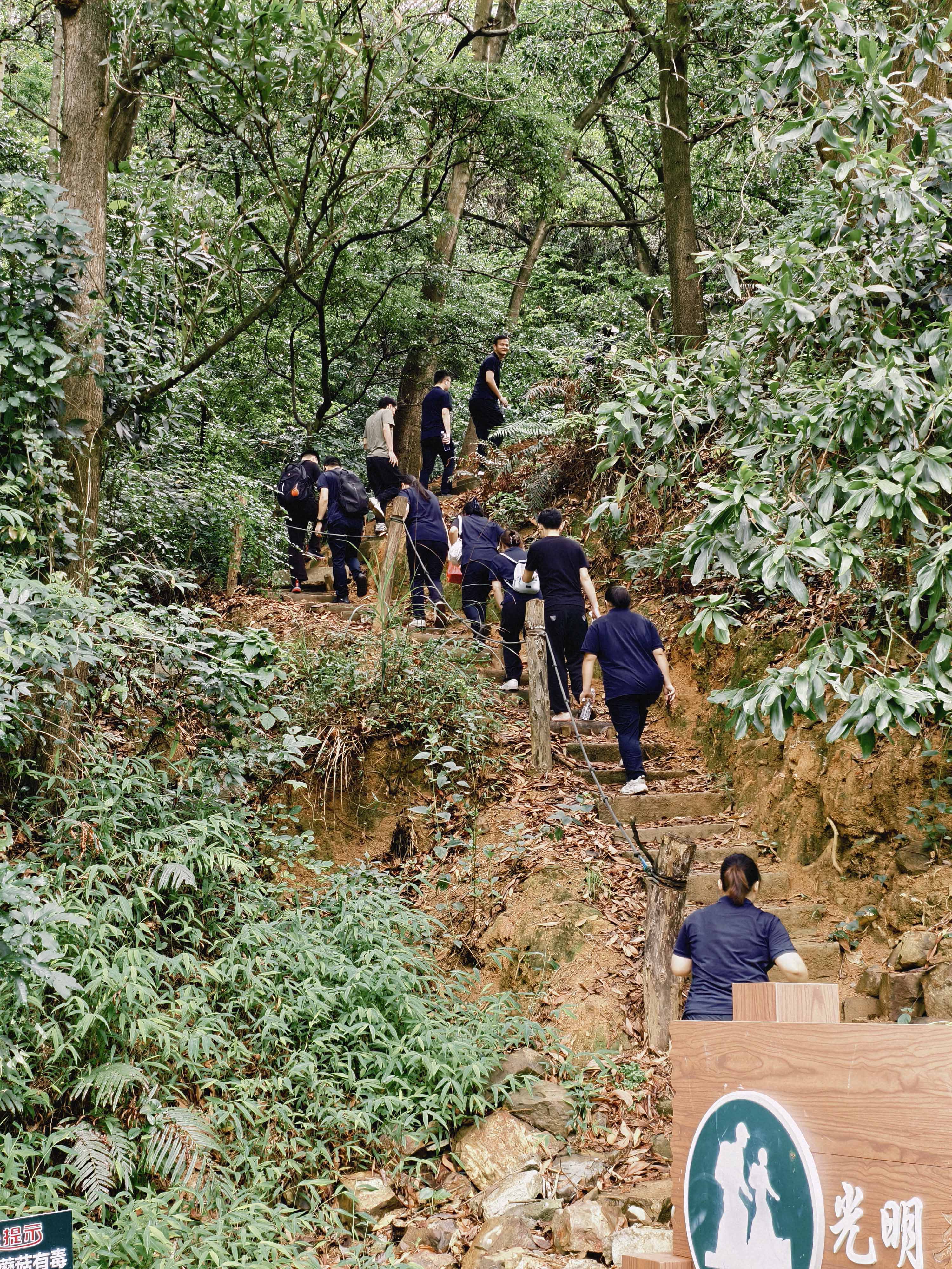 久信達科技公司員工齊聚光明區蠄蜍石，開啟活力爬山之旅暨團建活動(圖2)